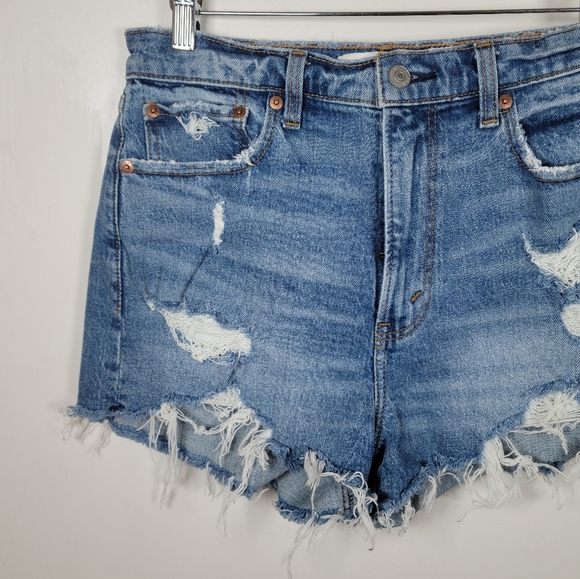 Abercrombie & Fitch High Rise Mom Shorts Size 28/6 - Picture 3 of 9
